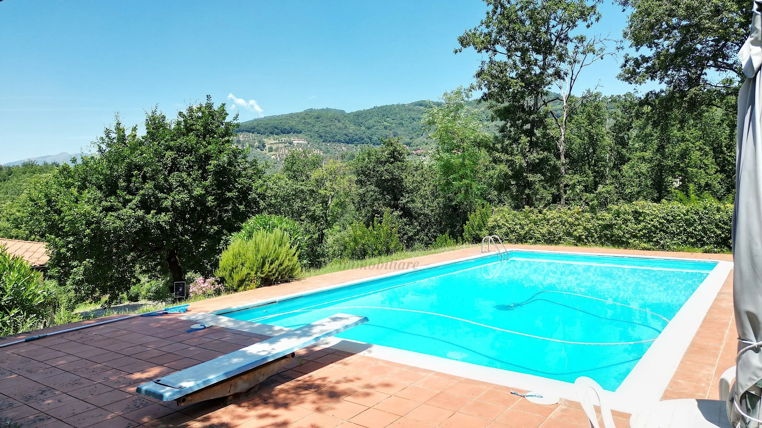 Immagine per Villa in vendita a Lucca via Dei Borelli
