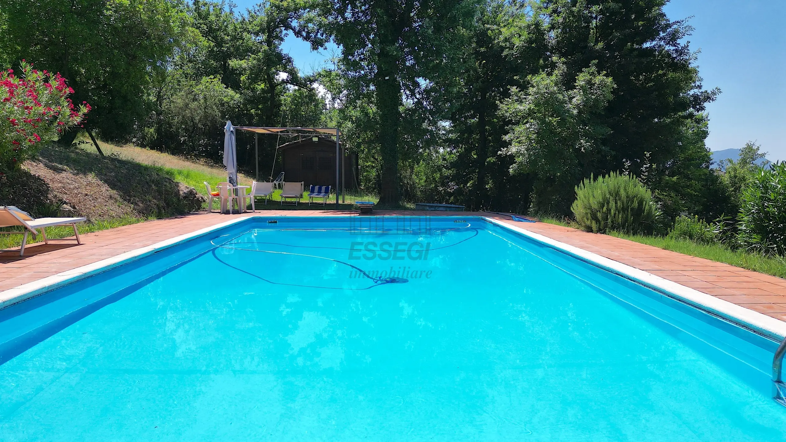 Immagine per Villa in vendita a Lucca via Dei Borelli