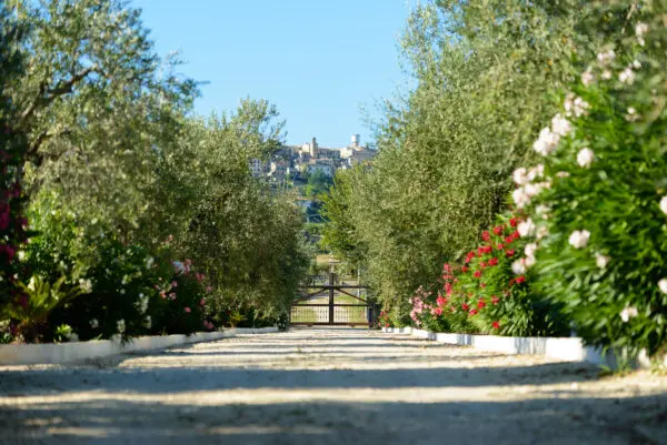 Villa Trifamiliare via Contrada Riomorocontrada Rio Moro, Colonnella
