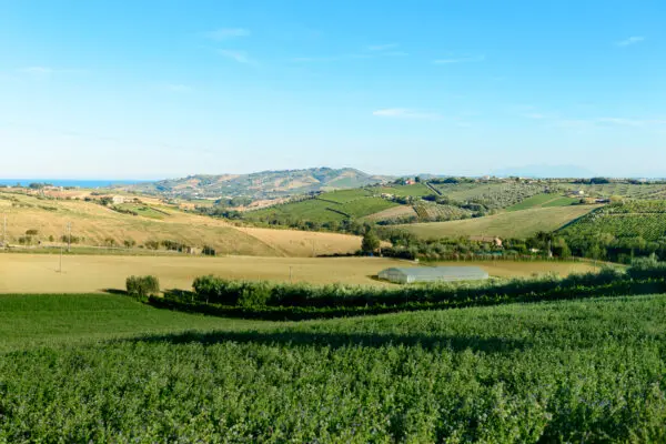 Villa Trifamiliare via Contrada Riomorocontrada Rio Moro, Colonnella