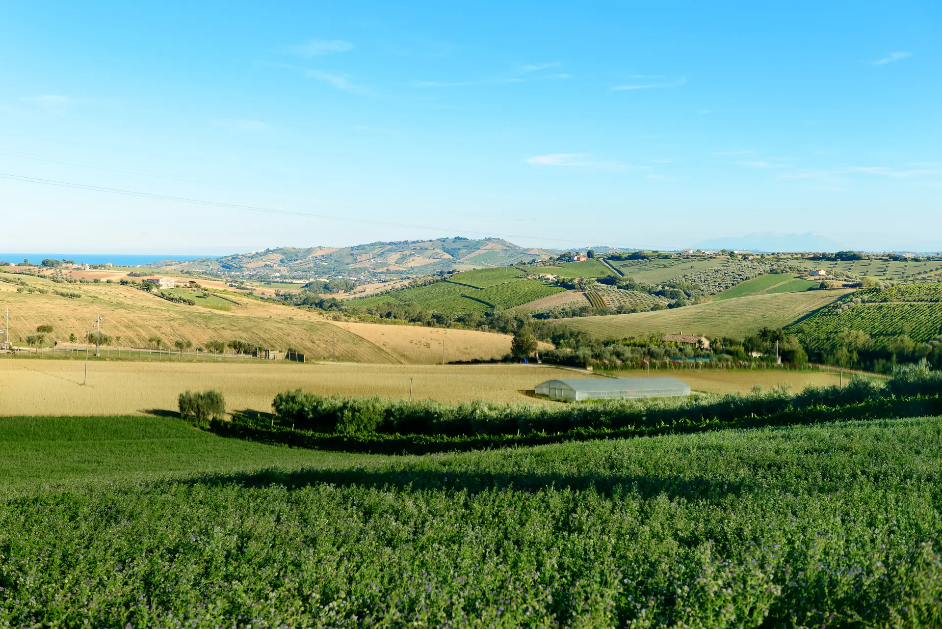 Immagine per Villa trifamiliare in vendita a Colonnella via Contrada Riomorocontrada Rio Moro