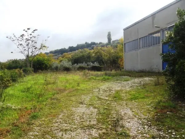 Capannone via E Fermi 16, Acquaviva Picena