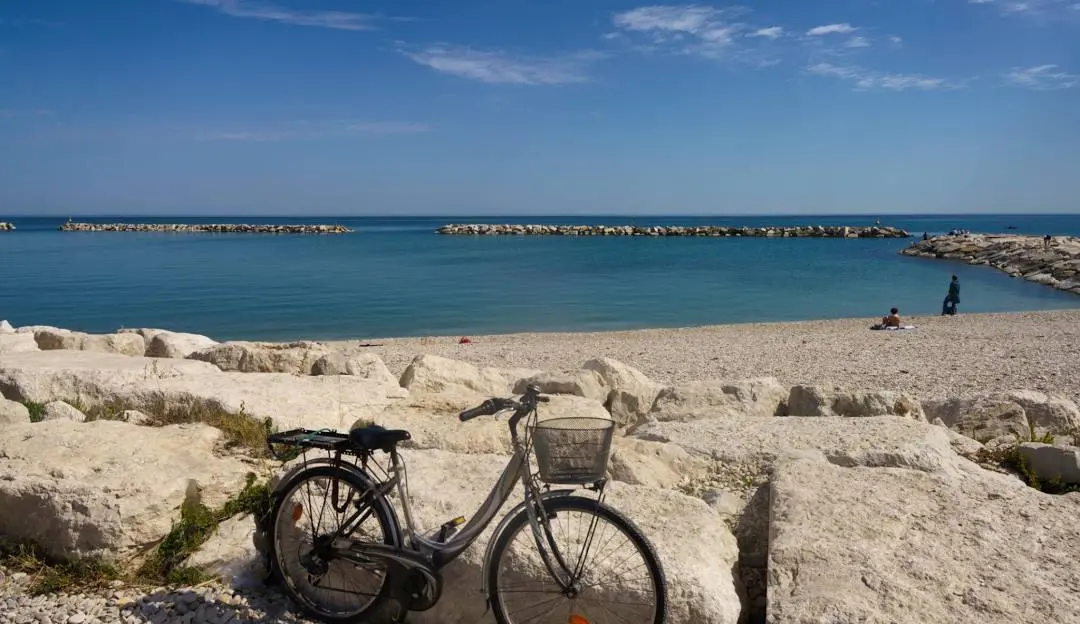 Immagine per Stabilimento Balneare in vendita a Fano strada Nazionale Adriatica Nord 79