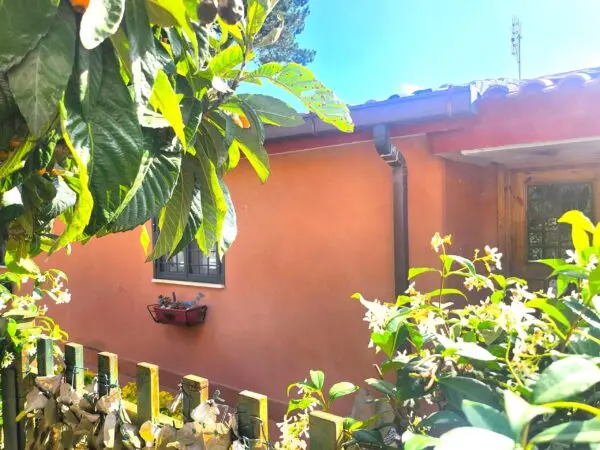 Capannone via Di Valle Muricana 966, Roma