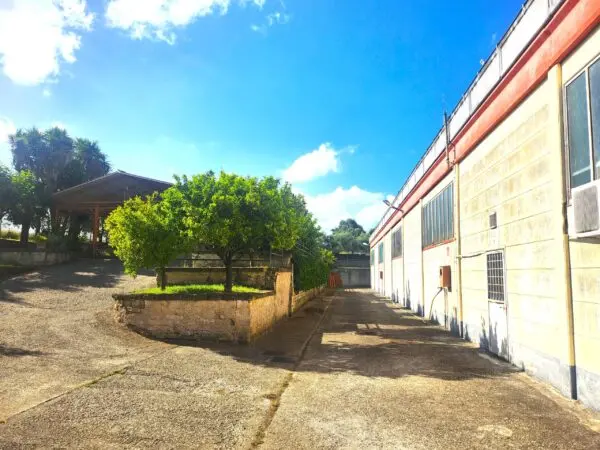 Capannone via Di Valle Muricana 966, Roma