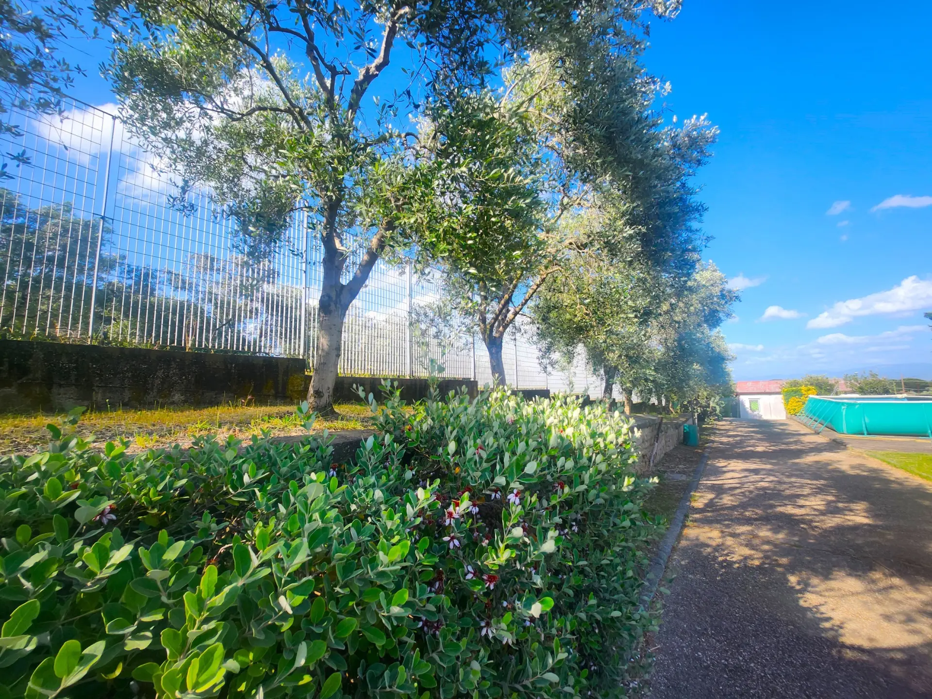 Immagine per Capannone in vendita a Roma via Di Valle Muricana 966
