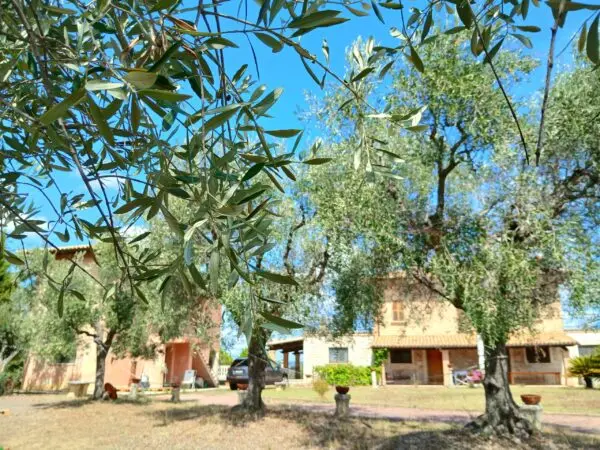 Villa Trifamiliare via Sp 1b, Ancarano