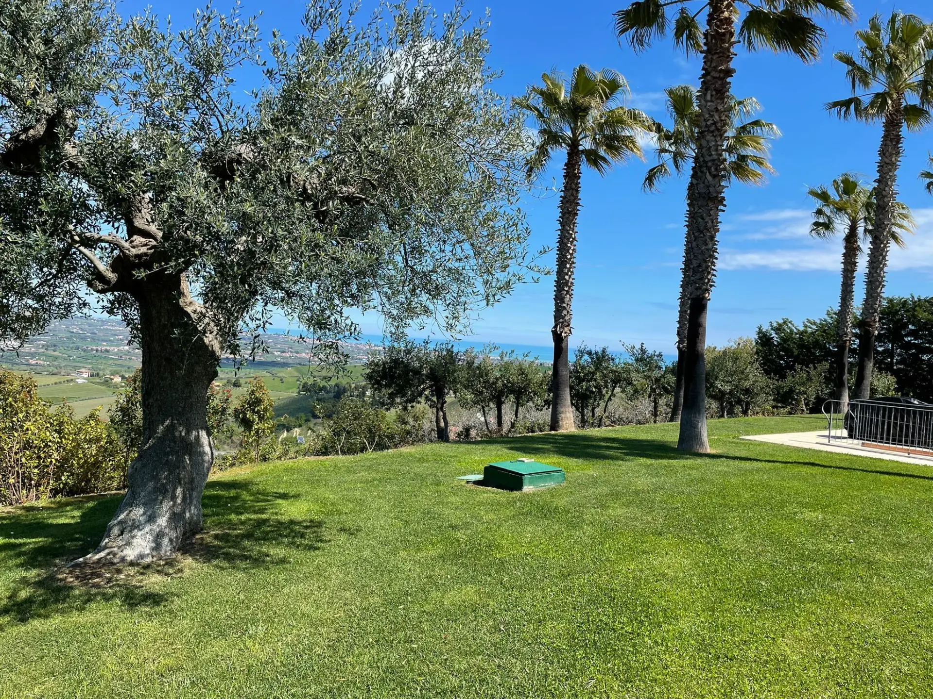 Immagine per Villa trifamiliare in vendita a Morro d'Oro via Capo Le Coste