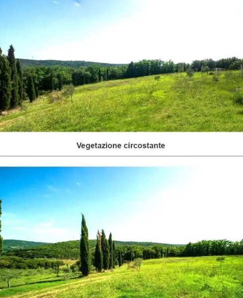 Azienda Agricola 6, Monterotondo Marittimo