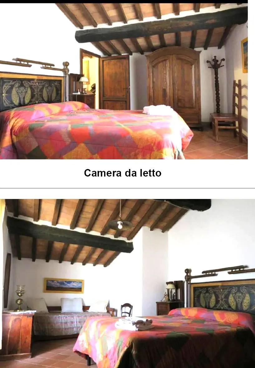 Immagine per Azienda agricola in vendita a Monterotondo Marittimo 6