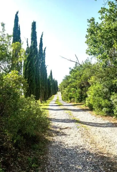 Azienda Agricola 6, Monterotondo Marittimo