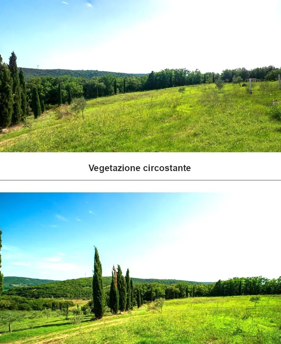 Immagine per Casa Vacanza in vendita a Monterotondo Marittimo 6