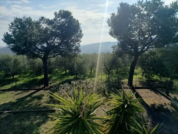 Villa Trifamiliare via Contrada San Donato, Monteprandone