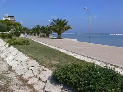 Immagine per Stabilimento Balneare in vendita a Cupra Marittima via Kennedy
