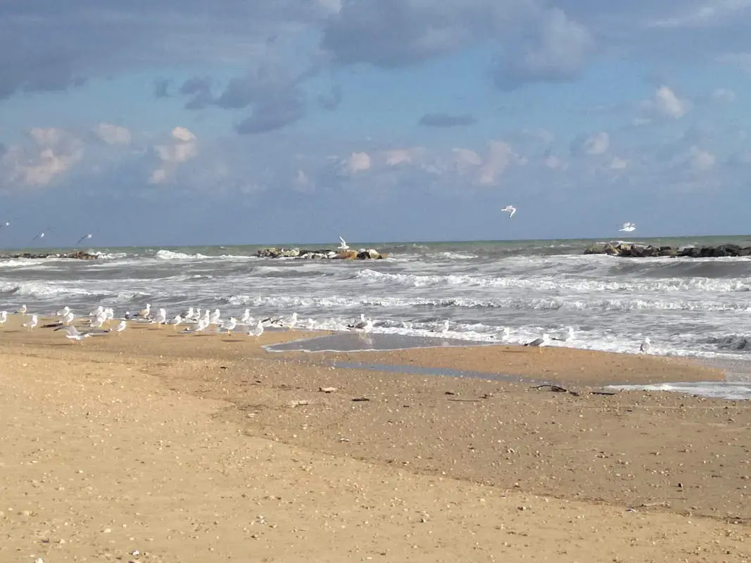 Immagine per Stabilimento Balneare in vendita a Cupra Marittima via Kennedy