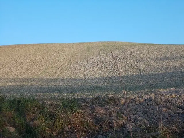Immagine per Terreno in vendita a Ripatransone via Contrada