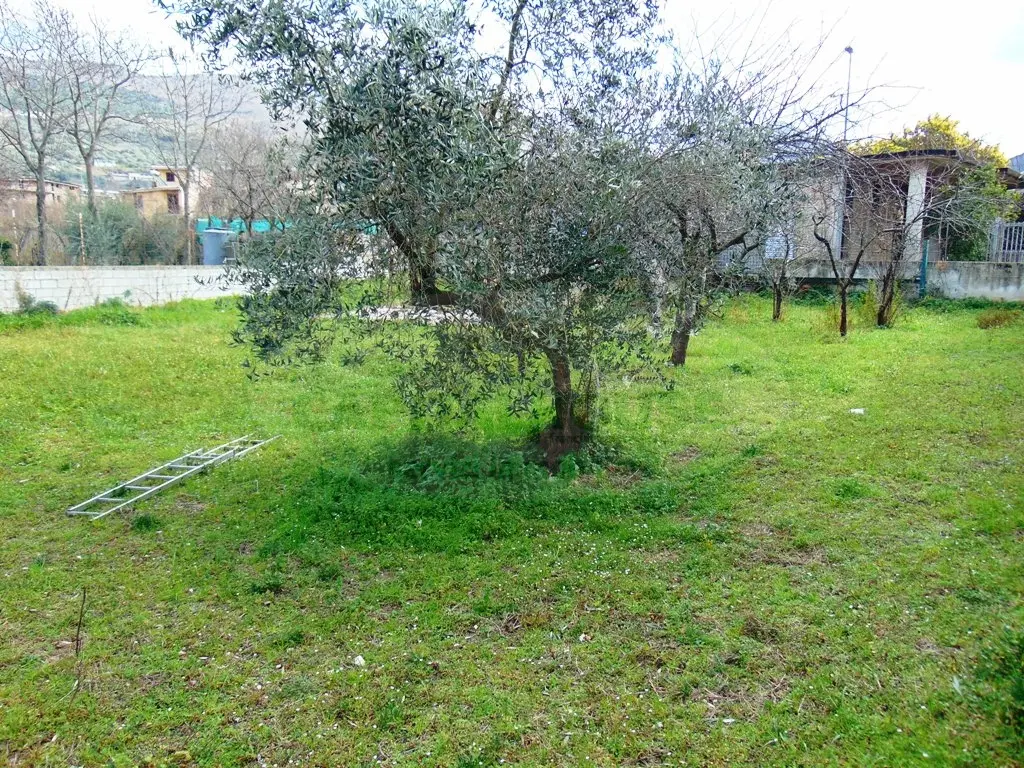 Immagine per Terreno Edificabile in vendita a Mugnano del Cardinale  