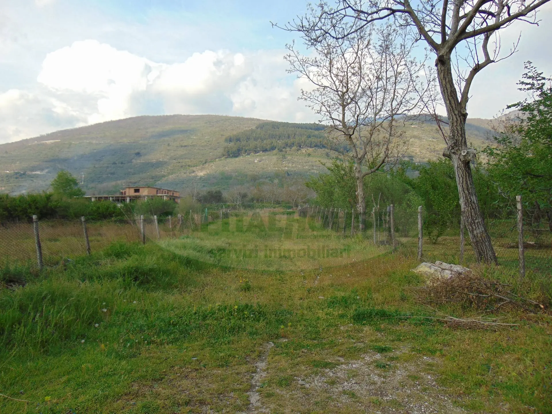 Immagine per Terreno Edificabile in vendita a Taurano  