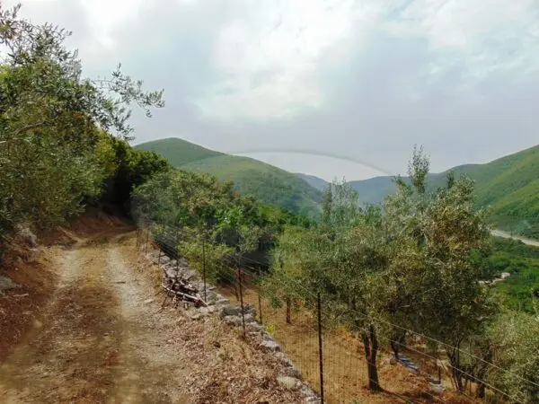Terreno Agricolo via, Mugnano Del Cardinale