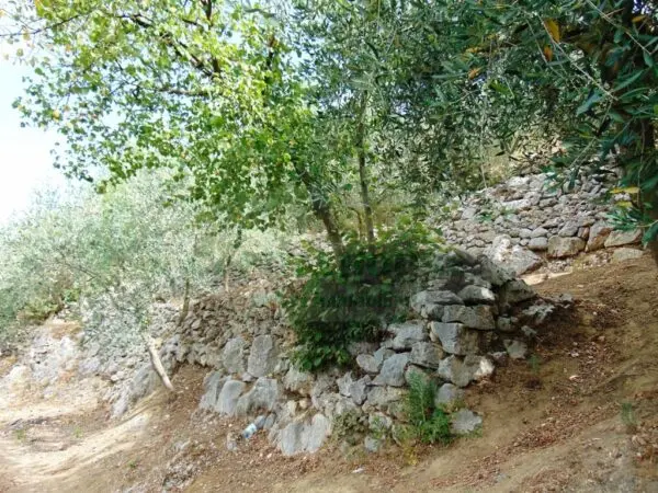 Terreno Agricolo via, Mugnano Del Cardinale