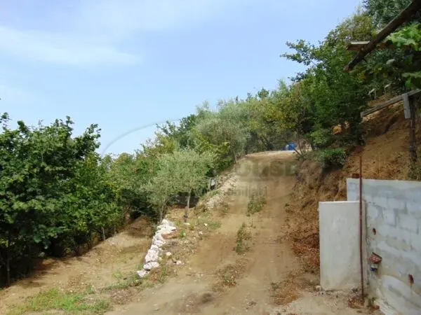 Terreno Agricolo via, Mugnano Del Cardinale