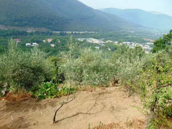 Terreno Agricolo via, Mugnano Del Cardinale