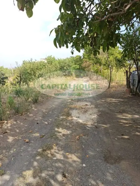 Terreno Agricolo via, Somma Vesuviana