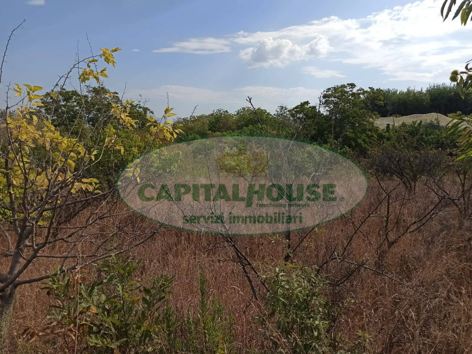 Immagine per Terreno Agricolo in vendita a Somma Vesuviana  
