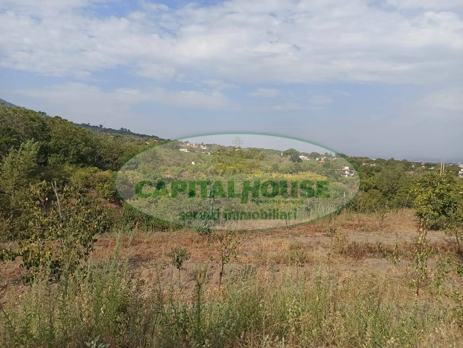 Immagine per Terreno Agricolo in vendita a Somma Vesuviana  