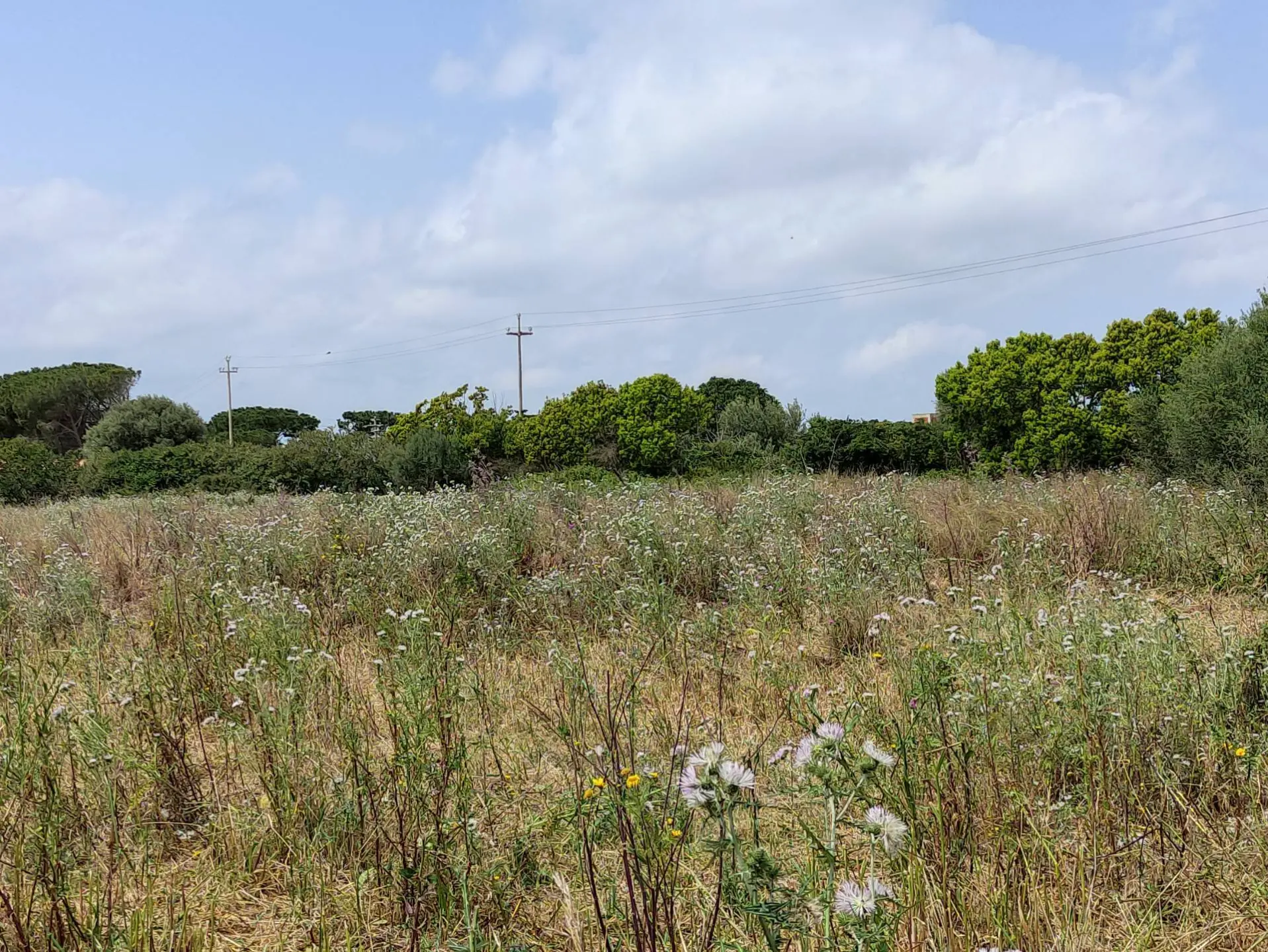 Immagine per Terreno Edificabile in vendita a Siracusa via isola snc