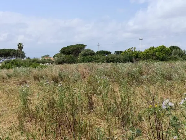Terreno Edificabile via Isola Snc, Siracusa