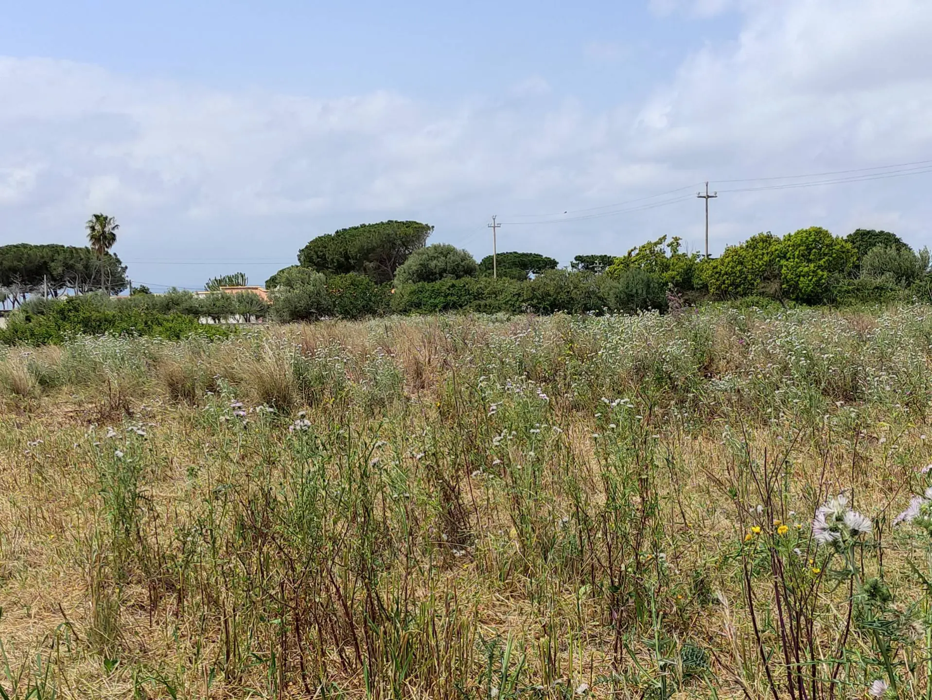 Immagine per Terreno Edificabile in vendita a Siracusa via isola snc
