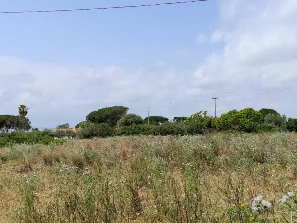 Terreno Edificabile via Isola Snc, Siracusa