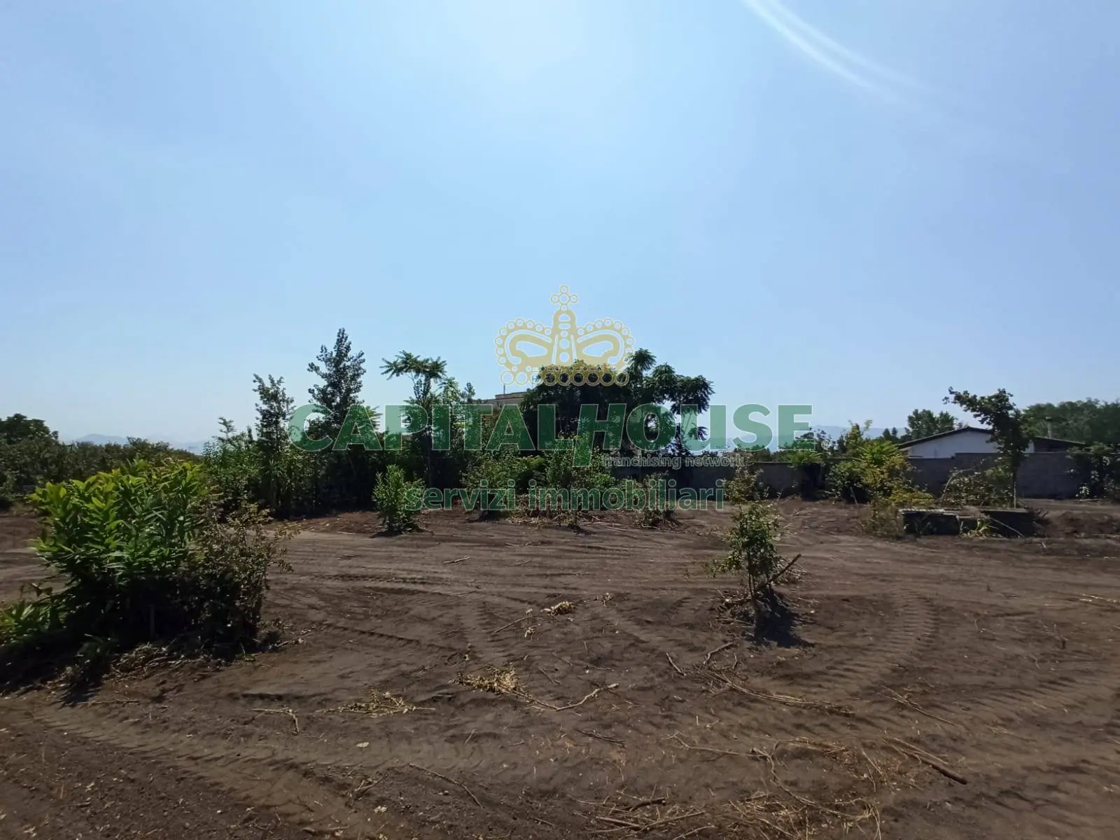 Immagine per Terreno Agricolo in vendita a Ottaviano  