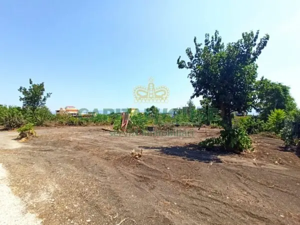 Terreno Agricolo via, Ottaviano