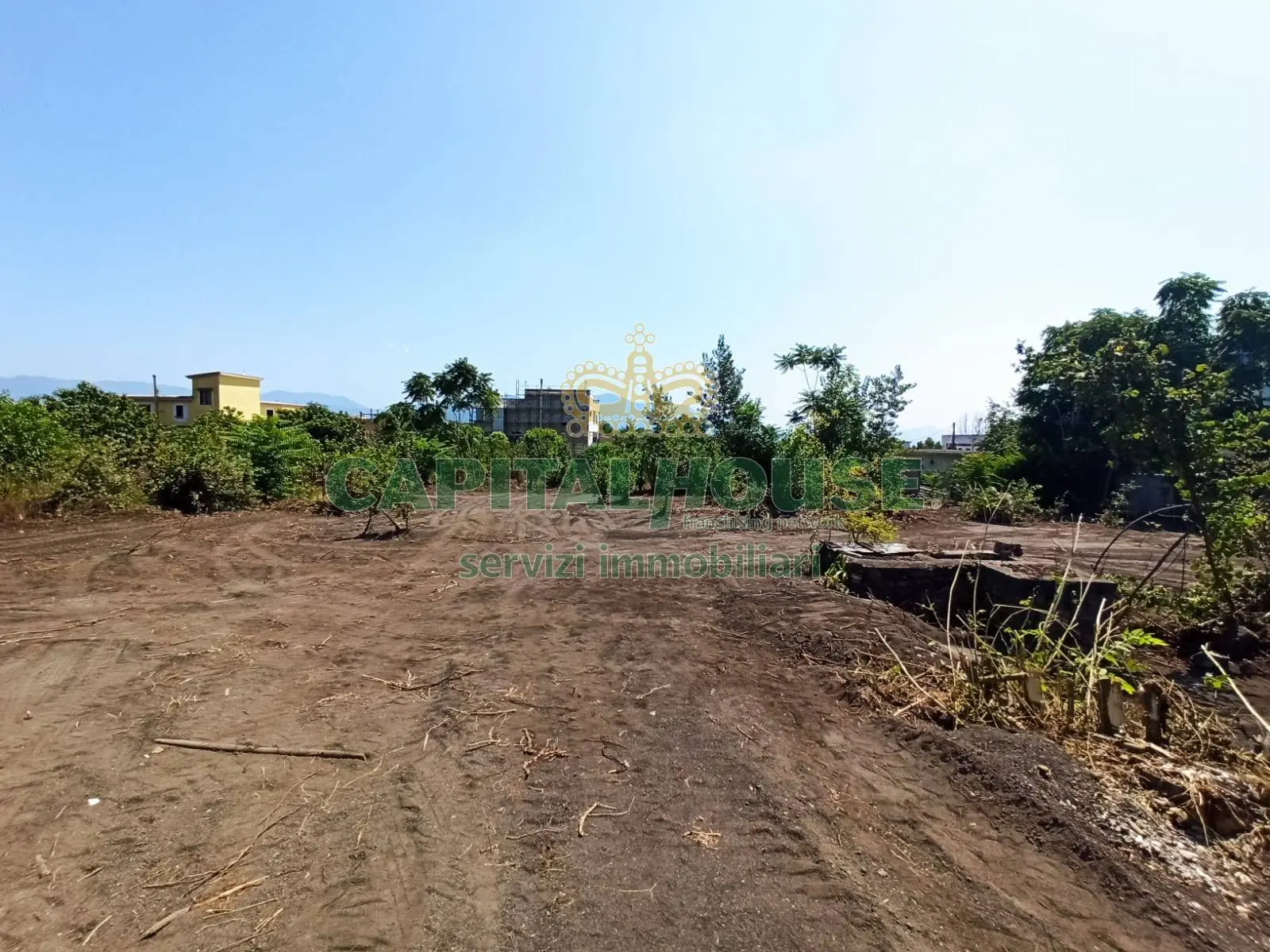 Immagine per Terreno Agricolo in vendita a Ottaviano  