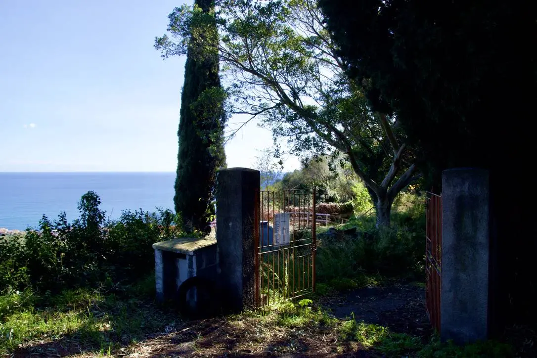 Immagine per Terreno Agricolo in vendita a Acireale strada statale 114 snc