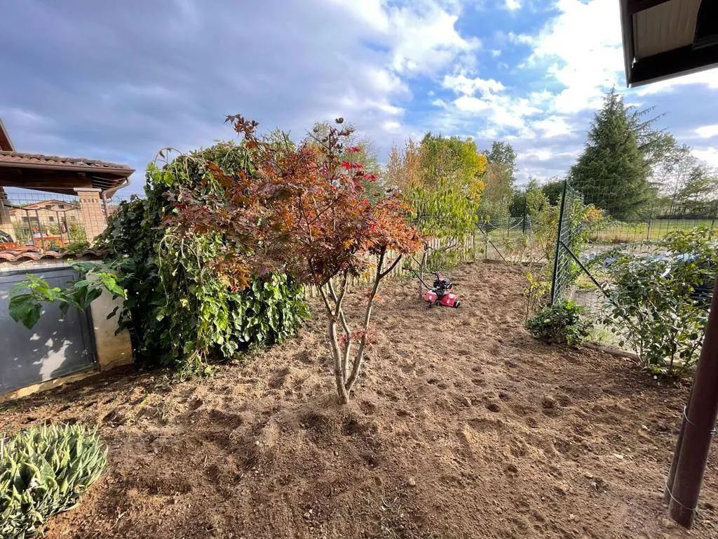 Immagine per Appartamento in vendita a Alessandria  
