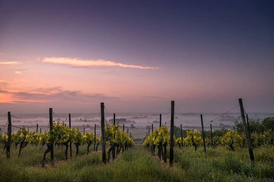 Immagine per Azienda Agricola in vendita a Noto strada provinciale 50 