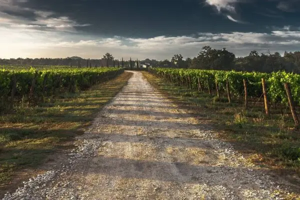 Azienda Agricola strada Provinciale 50, Noto