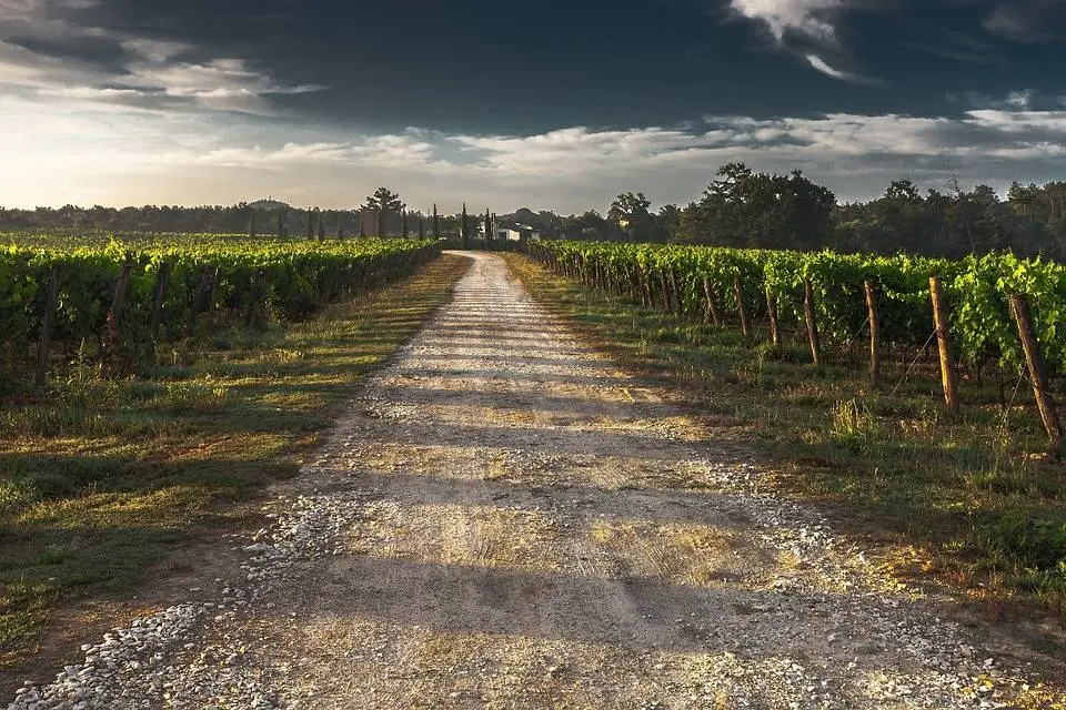 Immagine per Azienda Agricola in vendita a Noto strada provinciale 50 