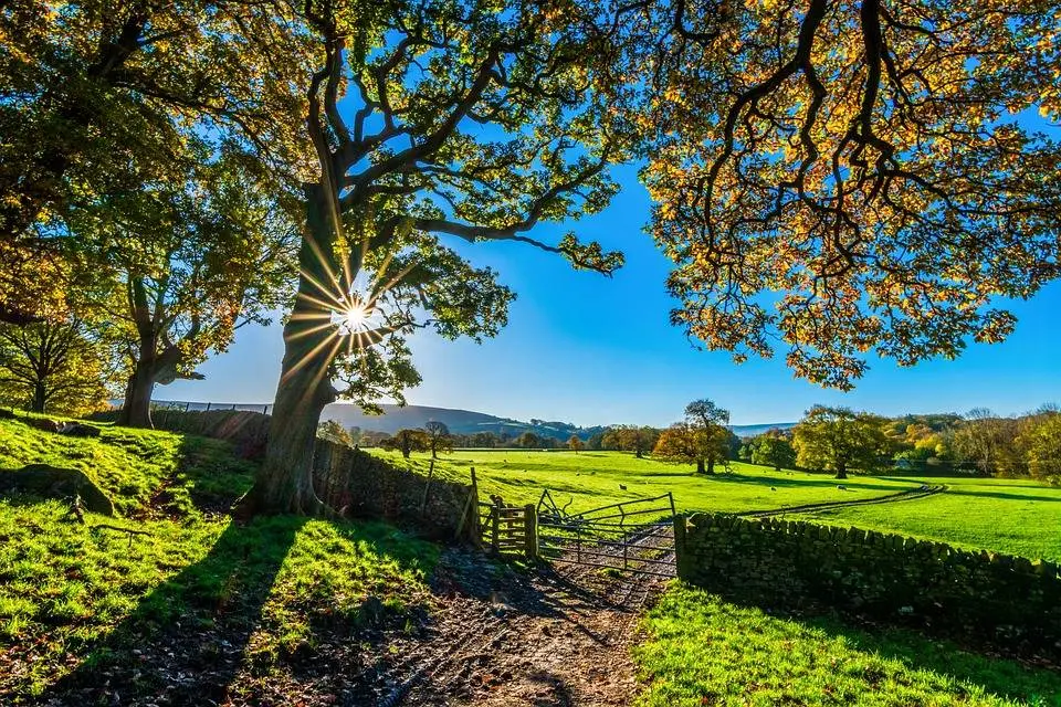 Immagine per Azienda Agricola in vendita a Noto strada provinciale 50 