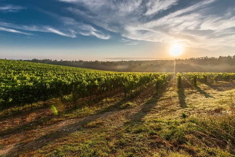 Immagine per Azienda Agricola in vendita a Noto strada provinciale 50 