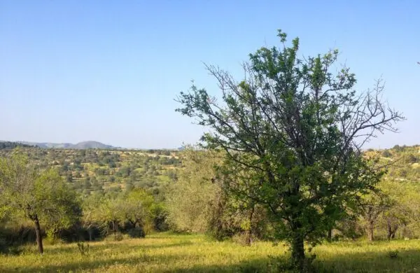 Rustico/Casale strada Statale 115 snc, Noto
