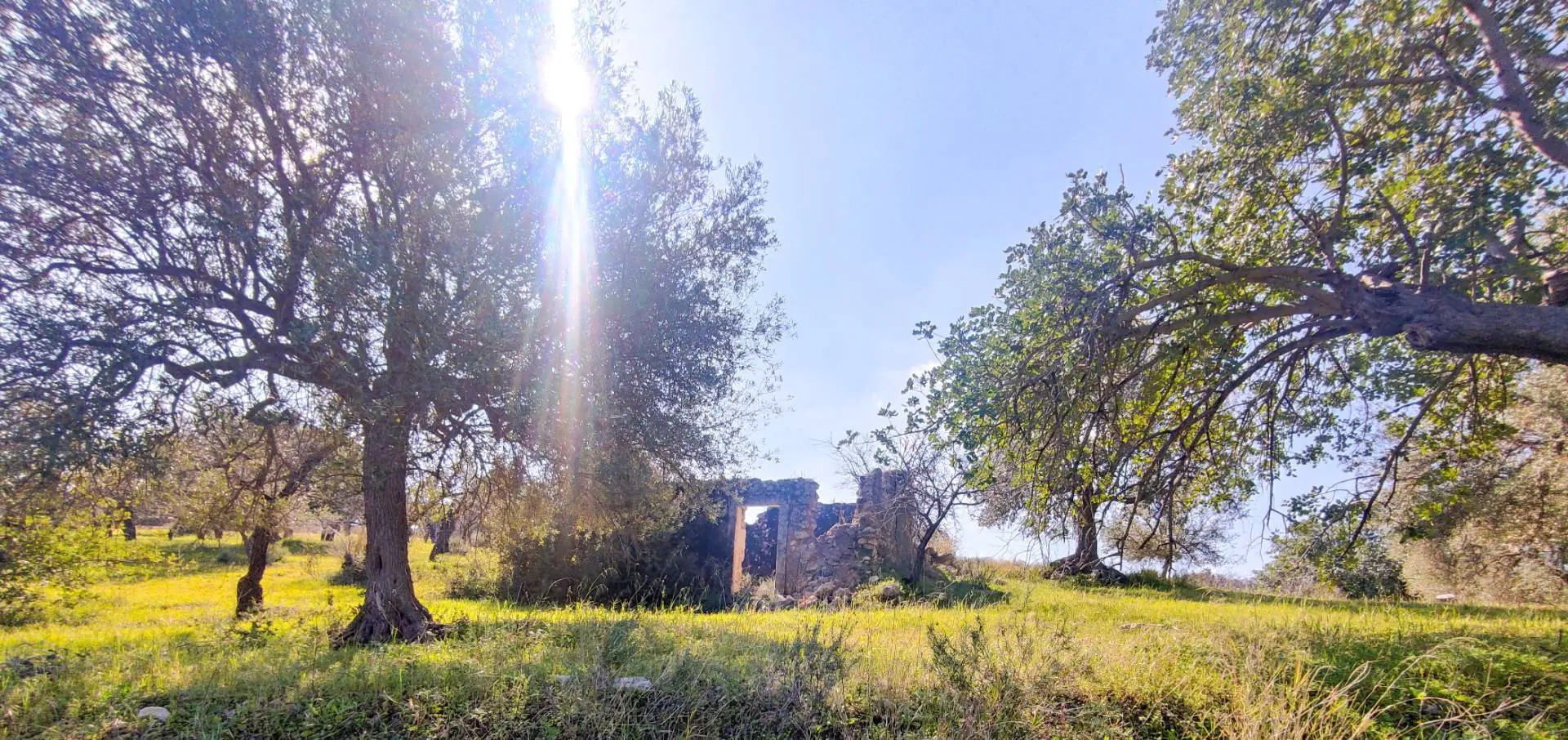 Immagine per Rustico/Casale in vendita a Noto Strada Statale 115 snc