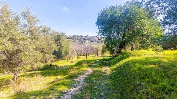 Rustico/Casale strada Statale 115 snc, Noto