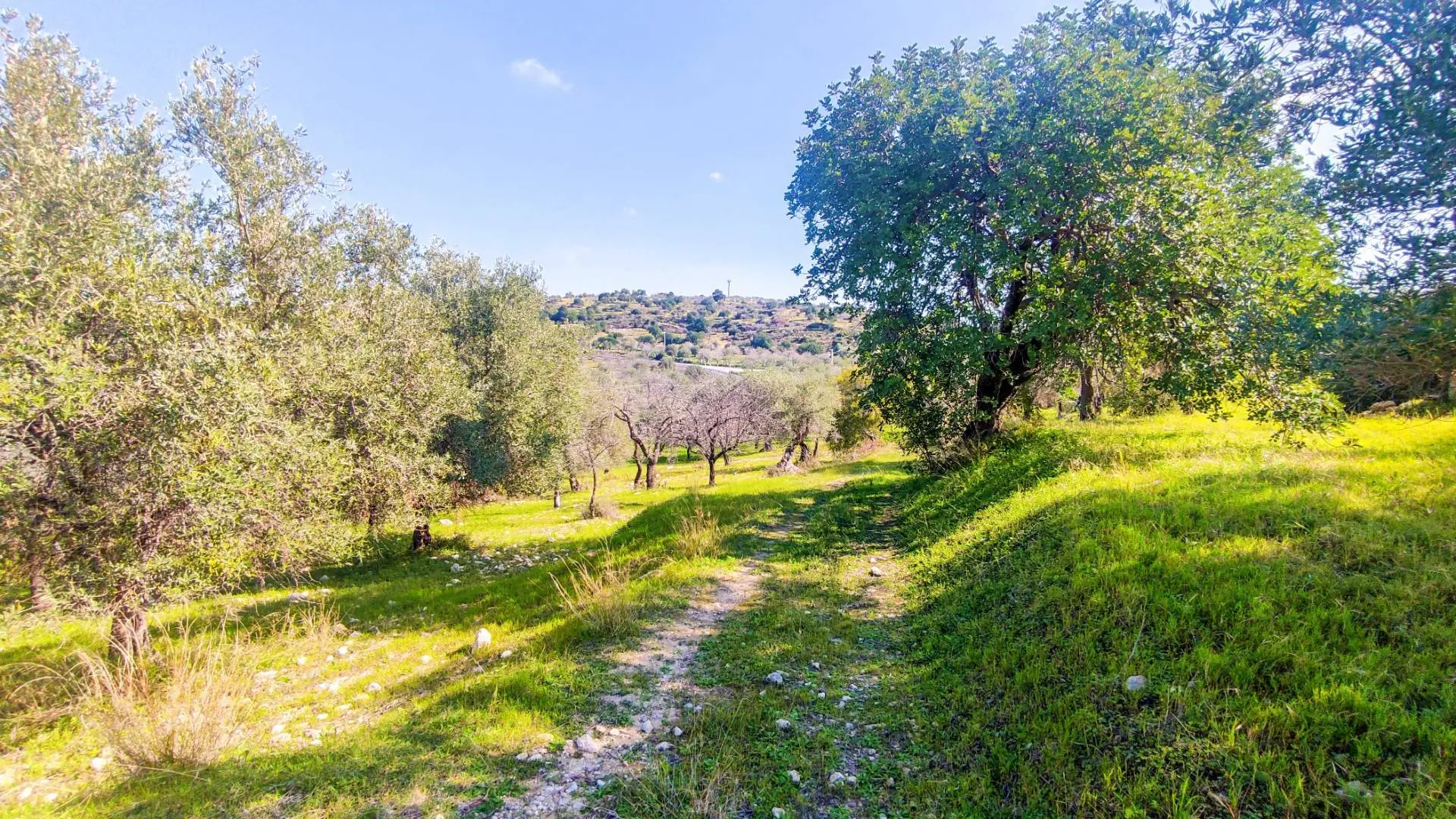 Immagine per Rustico/Casale in vendita a Noto Strada Statale 115 snc