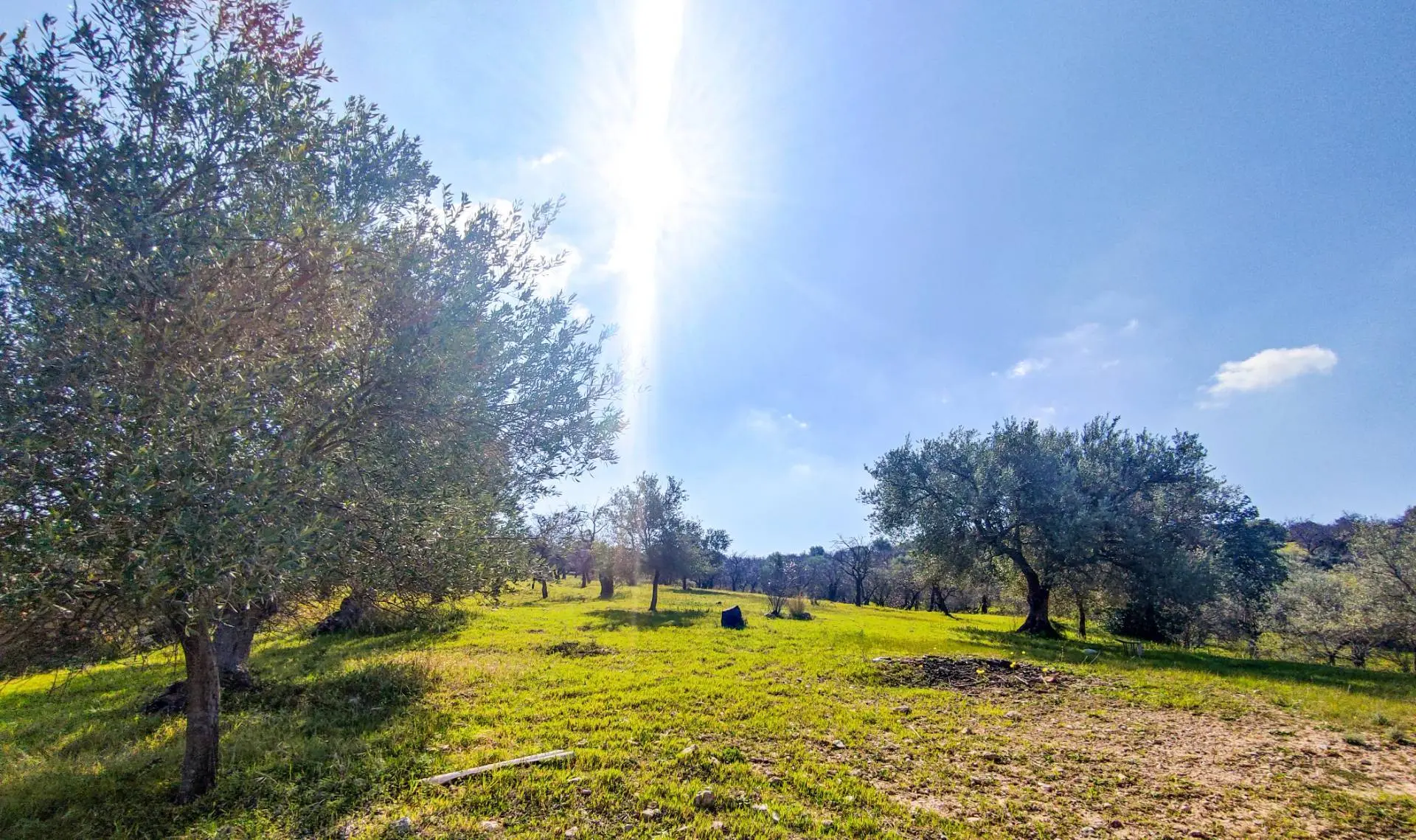 Immagine per Rustico/Casale in vendita a Noto Strada Statale 115 snc