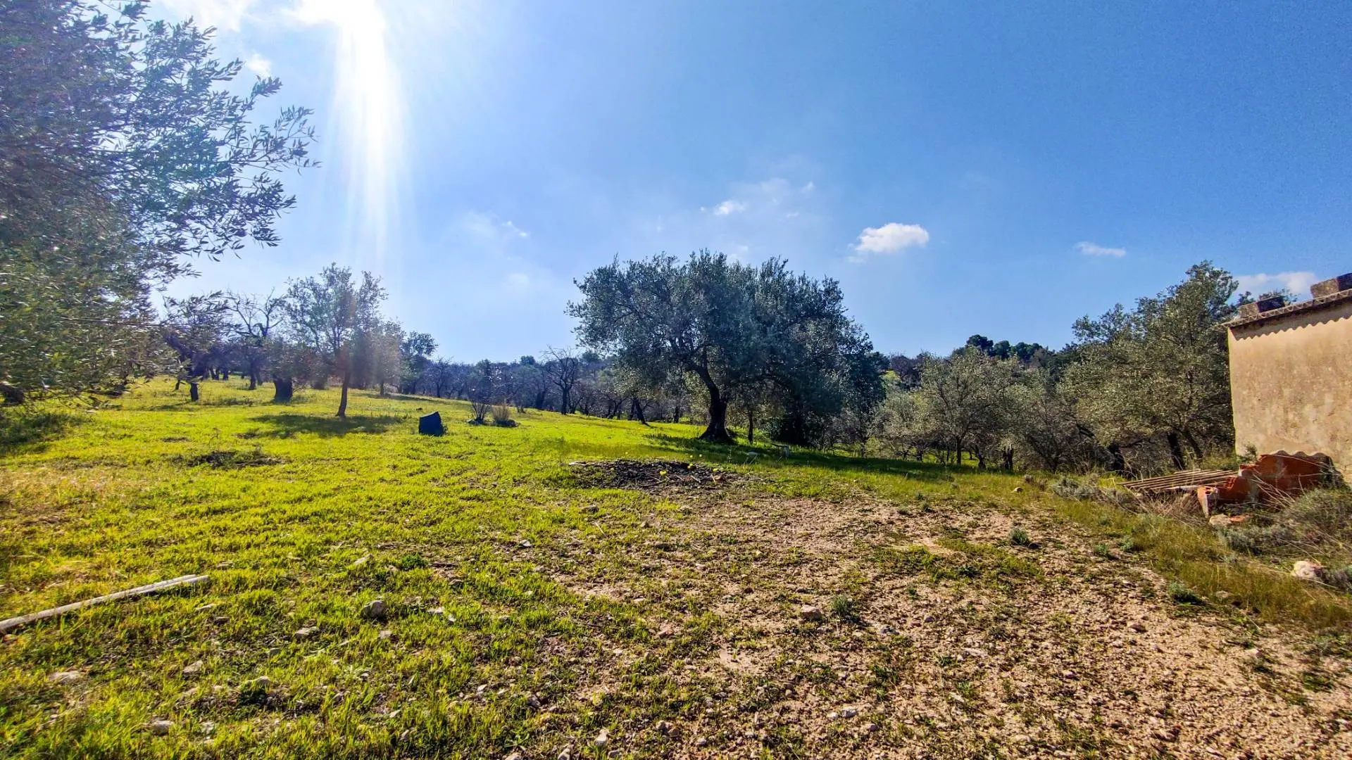 Immagine per Rustico/Casale in vendita a Noto Strada Statale 115 snc