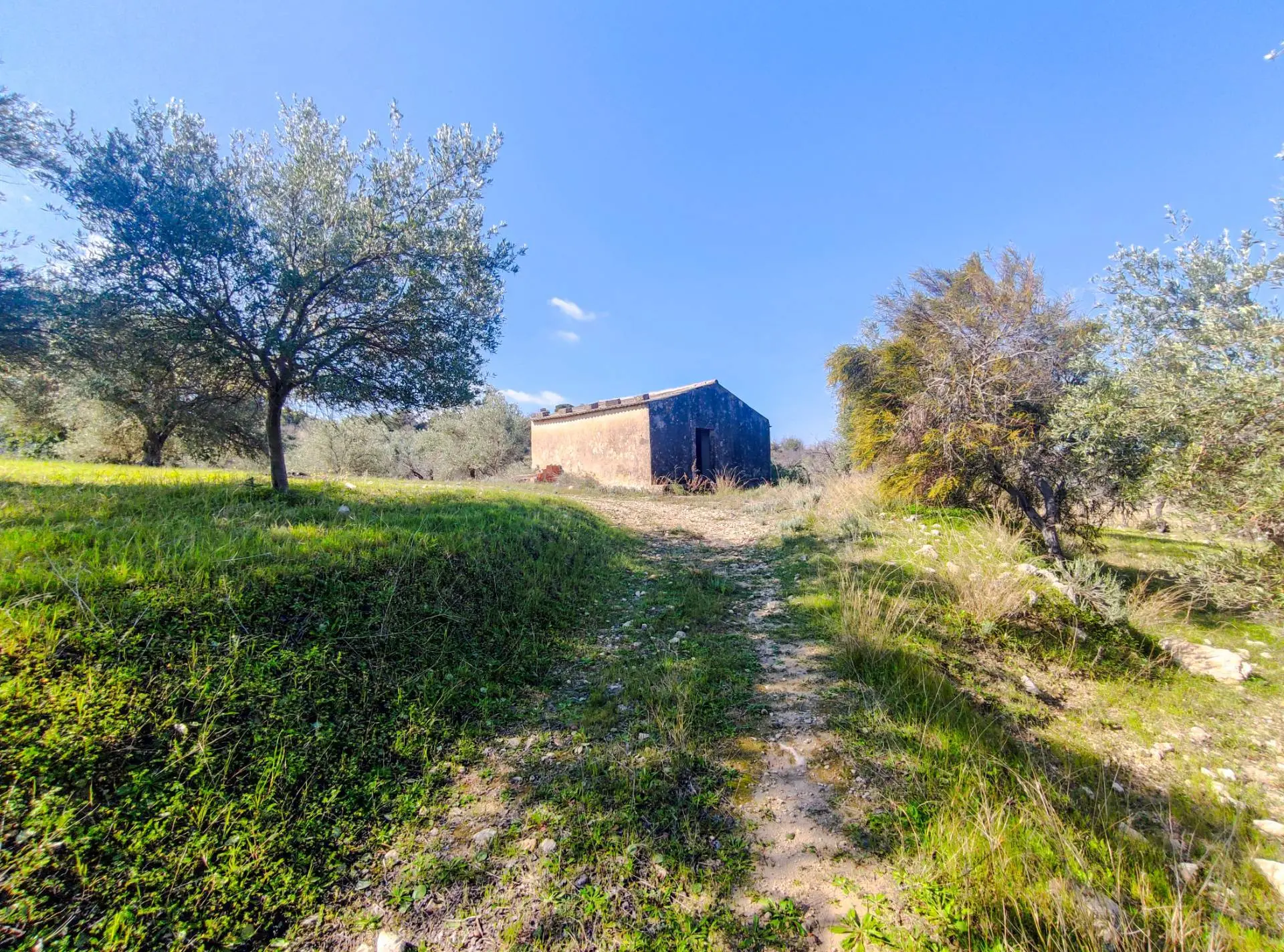 Immagine per Rustico/Casale in vendita a Noto Strada Statale 115 snc